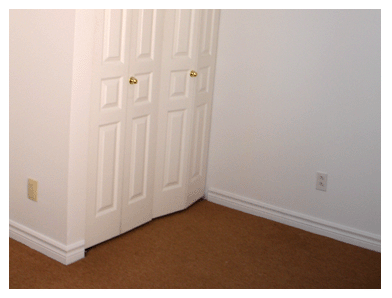 Picture5