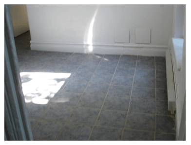 Picture5