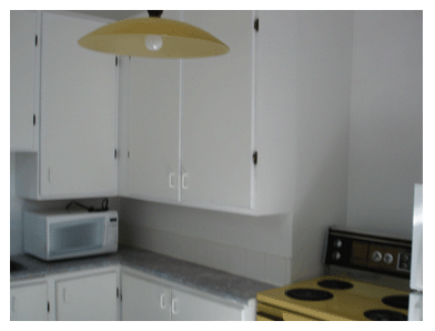 Picture5