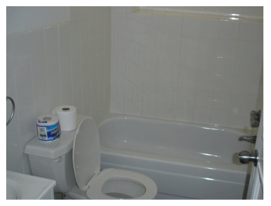 Picture5