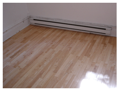 Picture5