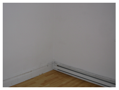 Picture5