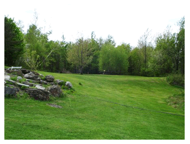 Picture6