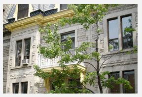 Search apartments