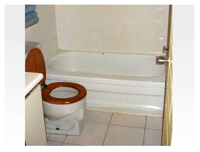Picture5