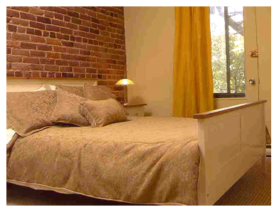 Picture6