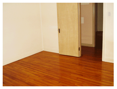 Picture5