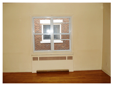 Picture7